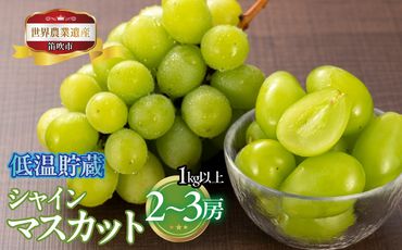 山梨県笛吹市産 低温貯蔵シャインマスカット 1kg以上 2房から3房 223-009