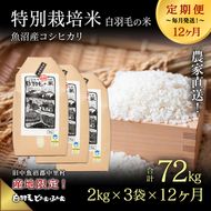 【通年受付】≪令和8年産≫【定期便／全12回】農家直送！魚沼産コシヒカリ特別栽培「白羽毛の米」精米(2kg×3袋)×12回 72kg お米