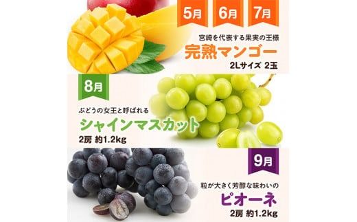 【 12ヶ月定期便 】 超 プレミアム デラックス 定期便 【 川南町産 くだもの きんかん いちご 完熟 マンゴー ぶどう ピオーネ シャイン マスカット 大玉 メロン 】[D11718t12]