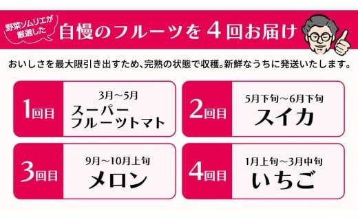 【 野菜ソムリエ 厳選 】 旬 の フルーツ 定期便 ( フルーツトマト スタート ) 4回 先行予約 果物 いちご イチゴ 苺 とちおとめ やよいひめ かおり野 すいか 小玉スイカ ピノガール トマト フルーツトマト メロン アールスメロン 新鮮 おすすめ ソムリエ 野菜 [AF095ci]