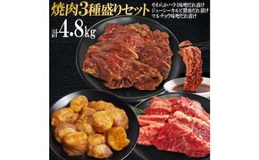 焼肉3種盛りセット(ハラミ・カルビ・マルチョウ)4.8kg 372013_KA052