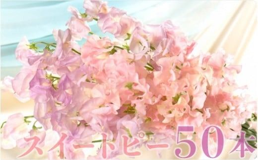 y{茧szy1`3zXC[gs[50{ N029-YC231