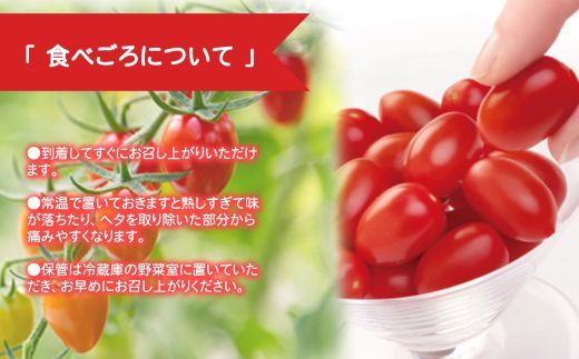 アメーラルビンズ＆ルビンズゴールド　5パック入り