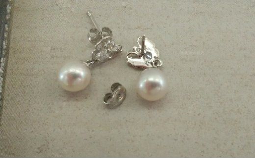 O-79伊勢志摩あこや本真珠ピアス・ブラ(バタフライ)SV製