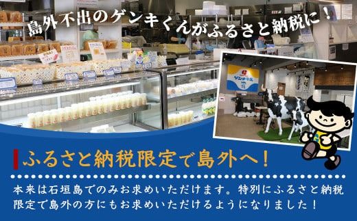 ゲンキプリン 6個 【プレーン 八重山ゲンキ乳業 お土産 観光 ゲンキくん ゲンキみるく 石垣島の牛乳屋さんのプリン】OP-1【島外不出のゲンキくん製品が返礼品に!!】【大人気の「ゲンキくん保冷バッグ」もお届け】