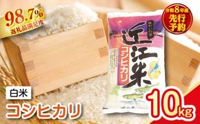 【新米　先行予約】令和8年産　近江米こしひかり【10kg（5kg×2袋）】【T038W】