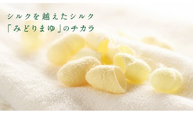 《絹生活研究所》COCONICAL for Dogシャンプー 犬 