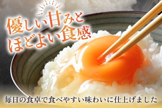 米 生活応援米 宮城県産 ひとめぼれ 5kg [菊武商店 宮城県 気仙沼市 20566180] お米 こめ コメ 白米 精米 ご飯 ごはん