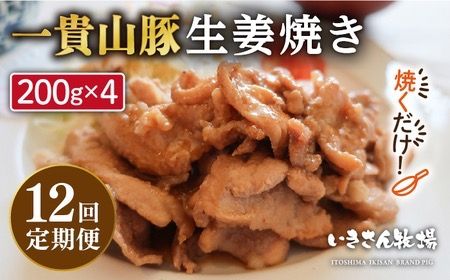 【全12回定期便】焼くだけ定番おかず！一貴山豚 生姜焼き 4パック 糸島市 / いきさん牧場 [AGB018]