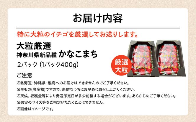大粒厳選　神奈川県新品種「かなこまち」　完熟イチゴ　苺　2パック入り 142069_CP011