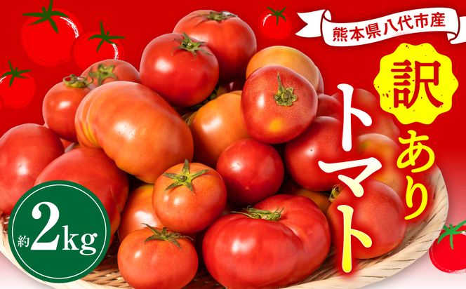 yF{szys\zy󂠂z sY KiOg}g 2kg F{ s Yi KiO g}g  ₳ VN Ƃ܂ y2026N4{菇z