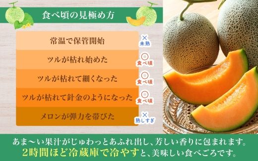 〈先行受付〉【2027年夏発送】北海道 赤肉メロン 北の女王 秀品 約1.6kg×1玉 令和9年 メロン 果物 フルーツ 旬 季節 希少 貴重 甘い 豊潤 国産 デザート ご褒美 産地直送 ギフト お祝い 贈答品 贈り物 お中元 常温 