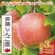 【数量限定/先行予約】奥久慈りんご「サンふじ」約3kg（6～14玉）【2026年11月上旬頃発送予定】斉藤りんご園第2直売所｜茨城県 大子町 樹上完熟 林檎 果物 フルーツ 旬 産地直送 （CG007-1）
