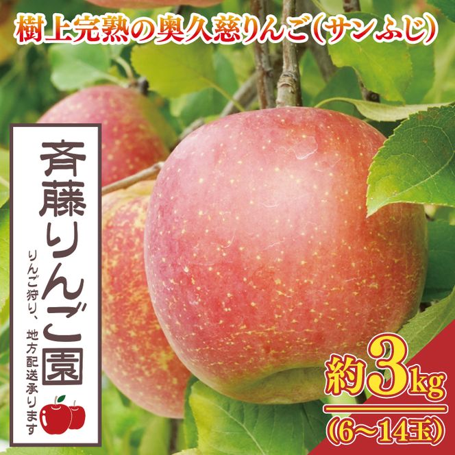 【数量限定/先行予約】奥久慈りんご「サンふじ」約3kg（6～14玉）【2026年11月上旬頃発送予定】斉藤りんご園第2直売所｜茨城県 大子町 樹上完熟 林檎 果物 フルーツ 旬 産地直送 （CG007-1）