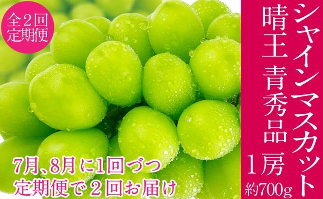 2026年予約受付中 シャインマスカット 晴王 7月8月に1回づつ出荷 2回 定期便 1房 約700g  人気 岡山県産 種無し 皮ごと食べる みずみずしい  フレッシュ 晴れの国 おかやま 果物大国 ハレノフルーツ