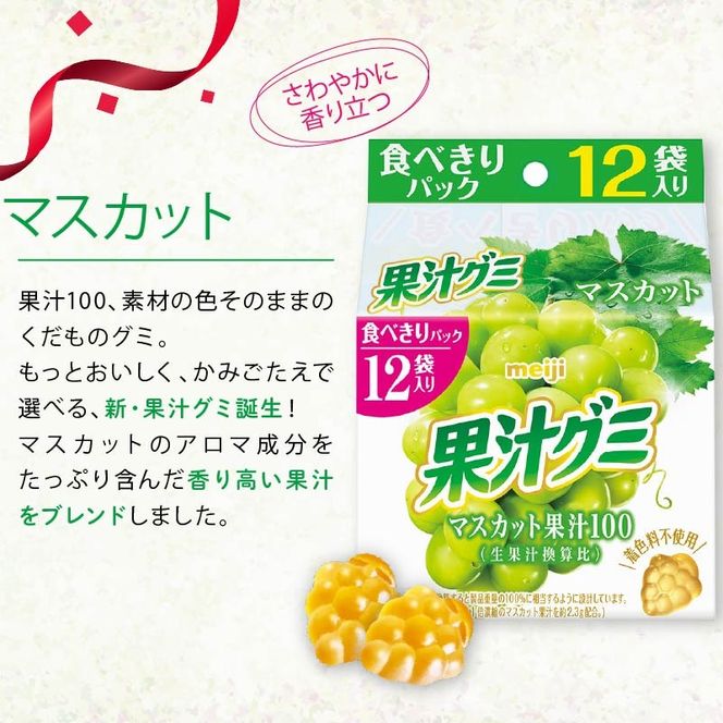 明治 果汁グミ スマートパック ぶどう ＆ マスカット 163ｇ × 各5個 グミ 葡萄 ブドウ お菓子 おやつ フルーツ 果物 果汁 詰め合わせ 詰合せ セット まとめ買い 静岡県 藤枝市