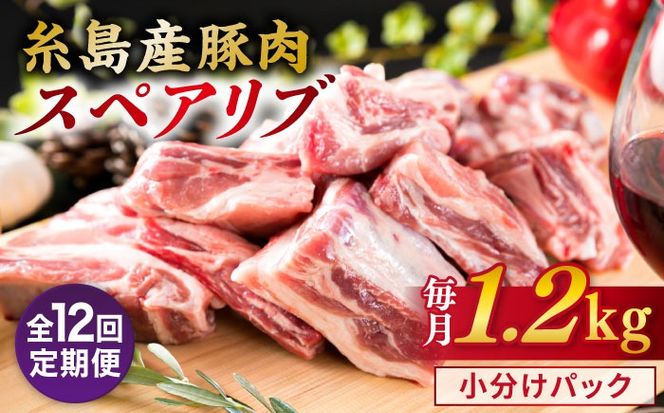 【全12回定期便】【 バーベキュー / 煮込み用 】 約1.2kg 糸島産豚肉 スペアリブ 糸島市 / 糸島ミートデリ工房 [ACA331] 国産 豚肉 九州産 糸島産 糸島産豚肉 国産豚 バーベキュー 煮込み