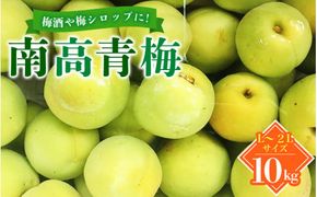  南高梅 青梅 紀州 10kg (L～2Lサイズおまかせ) 紀美野町産 【JAながみね】 / 梅 紀州南高梅 和歌山県産 梅干し 梅酒 梅シロップ 梅ジュース ※2026年6月中旬～6月下旬に順次発送 ※沖縄・離島配送不可 【jan005A】
