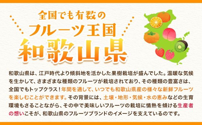 いちじく 完熟いちじく 約600g ( 300g × 2パック ) お試し パック いちじく イチジク 無花果 JAわかやま 紀の里地域本部《2025年9月上旬-11月上旬頃出荷》 和歌山県 紀の川市 青果物 果物 くだもの フルーツ スイーツ---wsk_cjak24_9j11j_24_7000_600g---