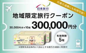 福岡県糸島市 日本旅行 地域限定旅行クーポン300,000円分 [AOO006]