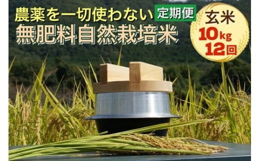 米 定期便 令和6年産 自然栽培米 にこまる ＜農薬を一切使わない無肥料栽培＞ 玄米 10kg×12ヶ月 120kg《新米 京都丹波産 無農薬米栽培向き 厳選品種 12回お届け》 ※2024年10月中旬頃より順次発送予定