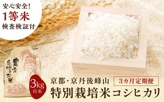 【3ヶ月定期便】2026年産 京都・京丹後峰山 特別栽培米コシヒカリ 3kg 【白米】 1等米 検査済証付　お米 精米 お弁当 おにぎり 京都府産 白米 特別栽培 一等米 ふるさと納税 米 定期便 生産者応援 農家応援　MF00083