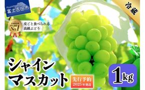 【2025年先行予約】山梨県産 シャインマスカット 約1kg(2房) シャインマスカット ぶどう シャイン 山梨県産 フルーツ 果物 先行予約 産地直送 数量限定 山梨 富士吉田