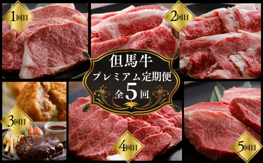 [但馬牛肉プレミアム定期便(計5回)]※月に1回お届け 配送日指定不可 黒毛和牛 ルーツ 香美町 産地直送 セット 国産 牛肉 ステーキ しゃぶしゃぶ すき焼き バーベキュー キャンプ 焼肉 和牛 ふるさと納税 おすすめ 返礼品 但馬 神戸 兵庫県 香美町 村岡 牛将 村岡ファームガーデン 02-30