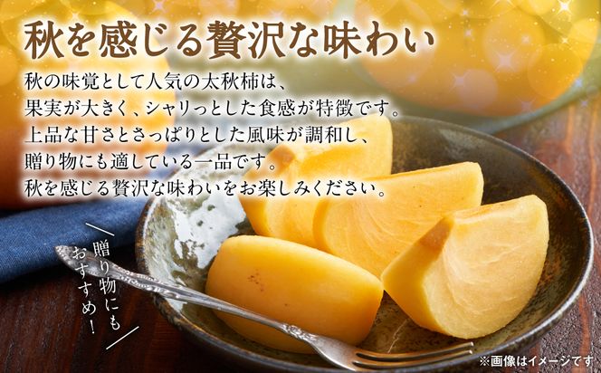 【先行予約】 太秋柿 約2kg (5～8玉) フルーツ 果物 くだもの 柿 カキ 旬 甘い おやつ 熊本県 八代市 【2026年10月上旬より順次発送】