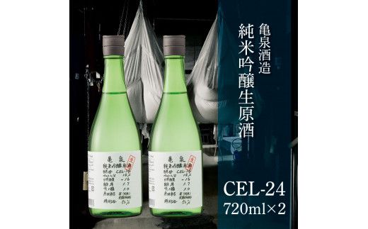 土佐の魚とお酒のおきゃくセット C（ネギトロコース）マグロのネギトロ 約380～400g 3～4人前 まぐろ 鮪 ねぎとろ 魚介 海鮮 純米吟醸生原酒 CEL-24 高知県 土佐市【さかなの森澤マル祐】[BQAM019]