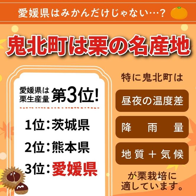【鬼の栗拾い】鬼北町産くり 約3kg ｜ 大粒 生栗 和栗 国産栗 地域限定 丹波栗 くり 栗 栗ご飯 生栗 果物 フルーツ 先行予約 数量限定 JA えひめ南農業協同組合 ※2026年9月～発送 