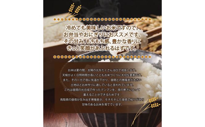 1104.令和7年産　きぬむすめ精米 5kg 313726_CI001