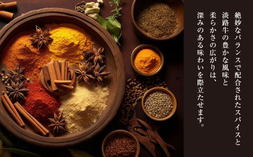 淡路牛100％ ビーフカレー 200g×8袋　レトルトカレー 保存食 ビーフカレー