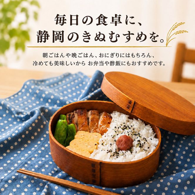 米 静岡きぬむすめ 20kg（5kg×4） お米 白米 コメ 精米 きぬむすめ 静岡県産 袋井市 静岡県