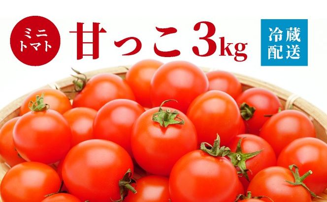 ＜先行予約＞北海道伊達産 ミニトマト 甘っこ 3kg【55250940】とまと 甘い 野菜 やさい 人気 新鮮 産地直送 農家直送 先行受付