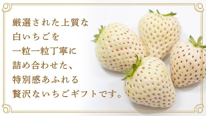 【桐箱入り】白いちご 9～15粒 【2027年1月から発送開始】（茨城県共通返礼品 [いちご]：城里町産） いちご イチゴ 苺 白いちご 白 希少 高級 国産 桐箱入り 贈答 贈り物 ギフト ふるさと納税