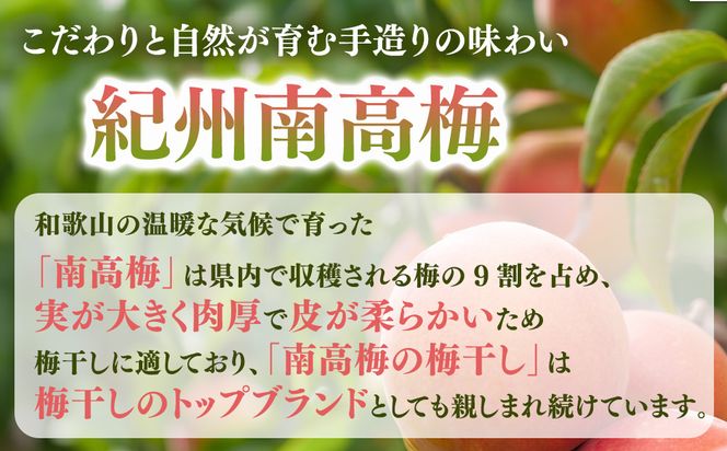紀州南高梅プレミアム塩分約3％（850g）