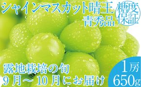2026年 先行予約受付中 シャインマスカット晴王1房 約650g 岡山県産 種無し 皮ごと食べる みずみずしい 甘い フレッシュ 瀬戸内 晴れの国 おかやま 果物大国 ハレノフルーツ
