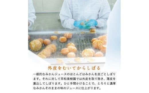 【数量限定 TVで何度も放映！】【定期便9か月】 飲むみかん 180ml×20本 早和果樹園 ｜ 果汁100％ストレートみかんジュース 和歌山県 有田市 （A1244-1）