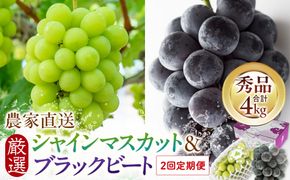 定期便2回 シャインマスカットとブラックビート 2026年8月中旬以降発送 農家直送 厳選 322032_EB009