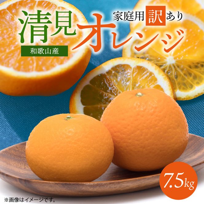 G7067_紀州有田産 清見 オレンジ 7.5kg【家庭用 訳あり】