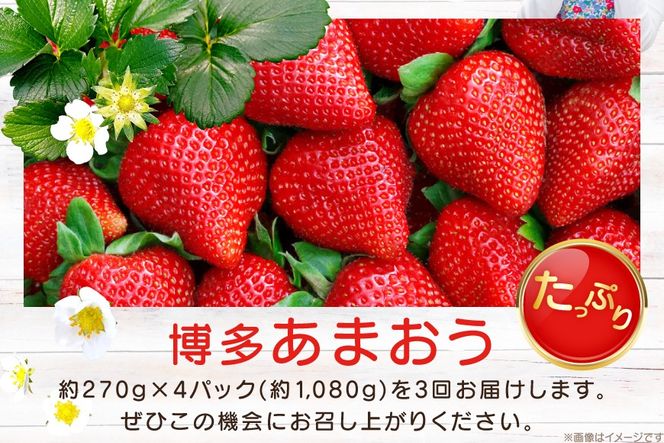 【期間限定発送】 いちご 3回 定期便 福岡県産 完熟 博多 あまおう 270g 4p 総計12p [mhshops 福岡県 筑紫野市 21761227] イチゴ 苺 フルーツ 果物 くだもの 4パック