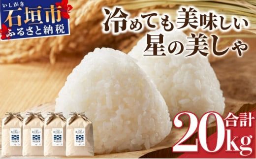 石垣島産 星の美しゃ(ほしのかいしゃ)20kg(5kg×4袋)[ 日本一早い新米の産地 ふるさと納税 沖縄県 石垣市 石垣島 米 星 星の美しゃ]MK-5