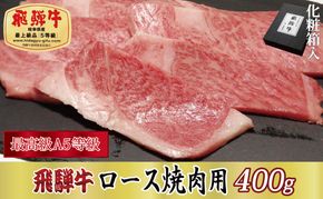 【化粧箱入り・最高級A5等級】飛騨牛ロース焼肉用400g