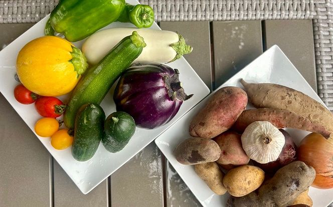 【定期便2回（夏・冬）】つかさ農園 季節のお野菜詰め合わせ（6～8種） ※北海道・沖縄・離島への配送不可