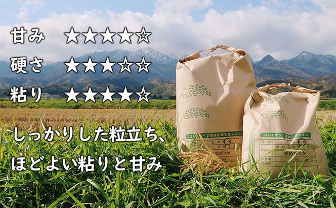 【令和8年度】北海道 富良野産 ゆめぴりか 減農薬 5kg 米 (山本農園) お米 ご飯 ごはん 白米 定期 送料無料 北海道 富良野市 道産 直送 ふらの