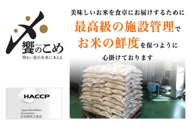 米 無洗米 令和7年産 石川県産 ひゃくまん穀 10kg (5kg×2袋) [中橋商事株式会社 石川県 宝達志水町 38601325] お米 コメ こめ kome ごはん 無洗 ひゃくまんごく 10キロ 令和7年 能登
