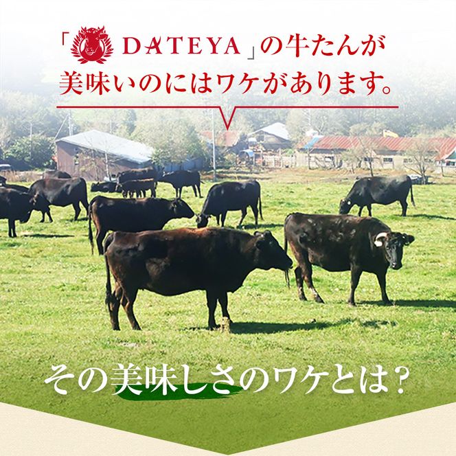 牛タン 切り落とし 250g (250g×1) 本場仙台専門店の味 仙台名物 仙台牛タン 牛肉 焼肉 バーベキュー BBQ 冷凍 ギフト お中元 父の日 母の日 お歳暮 お取り寄せ ふるさと納税