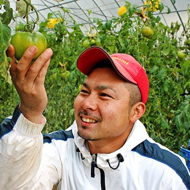 2026年 早期受付 麗月トマト 約4kg 野菜 トマト とまと 岡山県 高梁市産  産地直送