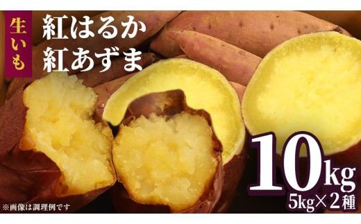 さつまいも 【 選べる品種 】 5kg / 10kg ( 箱込 ) サツマイモ さつま芋 芋 いも 野菜 焼き芋 スイーツ おやつ 国産 シルクスイート 紅はるか 紅あずま ふくむらさき ほしあかね